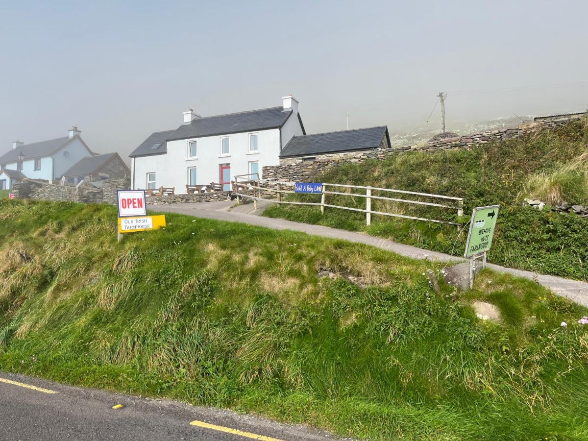 Old Irish Farmhouse Dingle Bagian luar foto